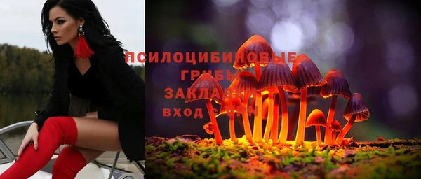 бутират Богданович