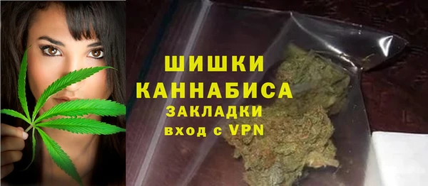 молекула духа Богородицк