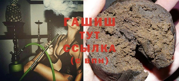 молекула духа Богородицк