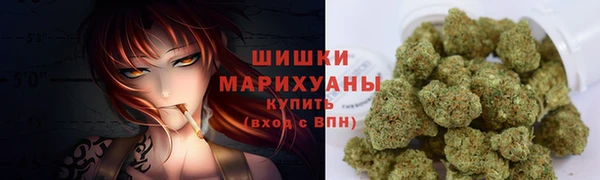 молекула духа Богородицк