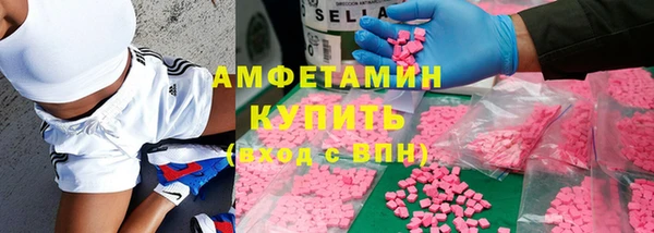 молекула духа Богородицк