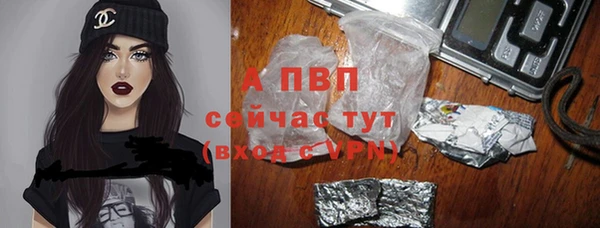 молекула духа Богородицк