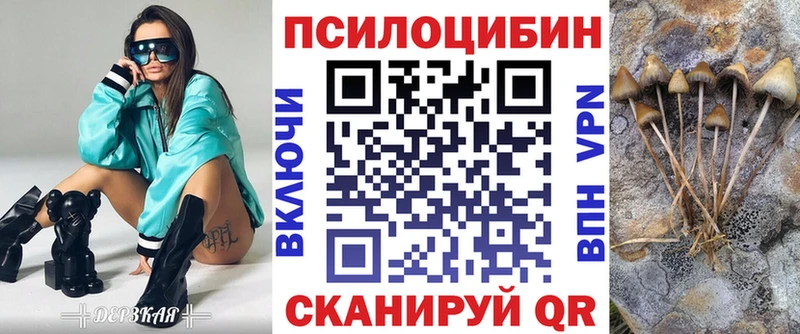 купить  цена  Нижний Новгород  Псилоцибиновые грибы прущие грибы 
